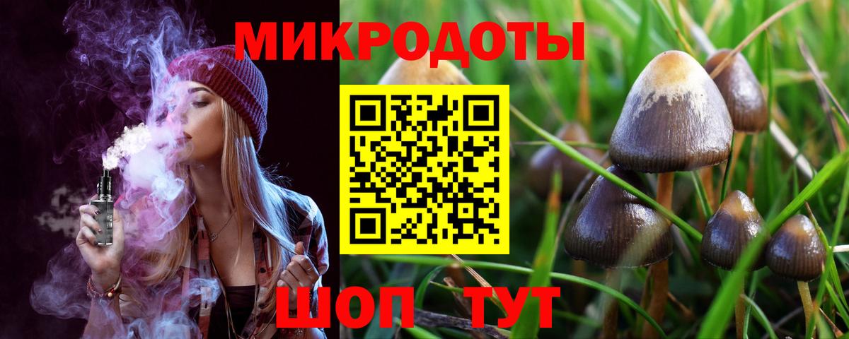 Псилоцибиновые грибы GOLDEN TEACHER Алапаевск
