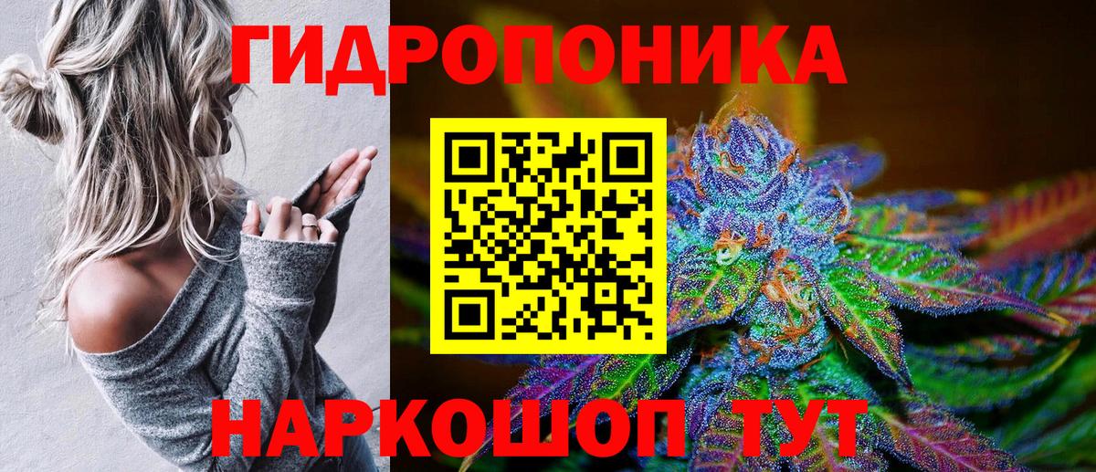 Бошки Шишки планчик Алапаевск